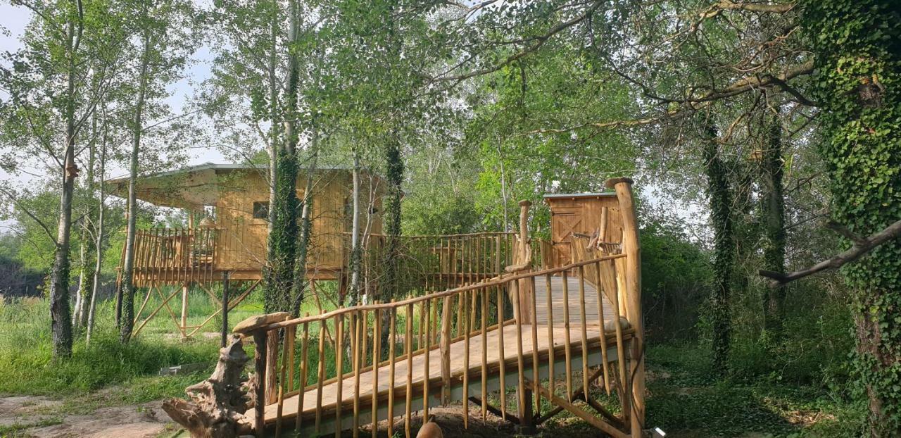 La Cabane Perchee Villelaure ภายนอก รูปภาพ