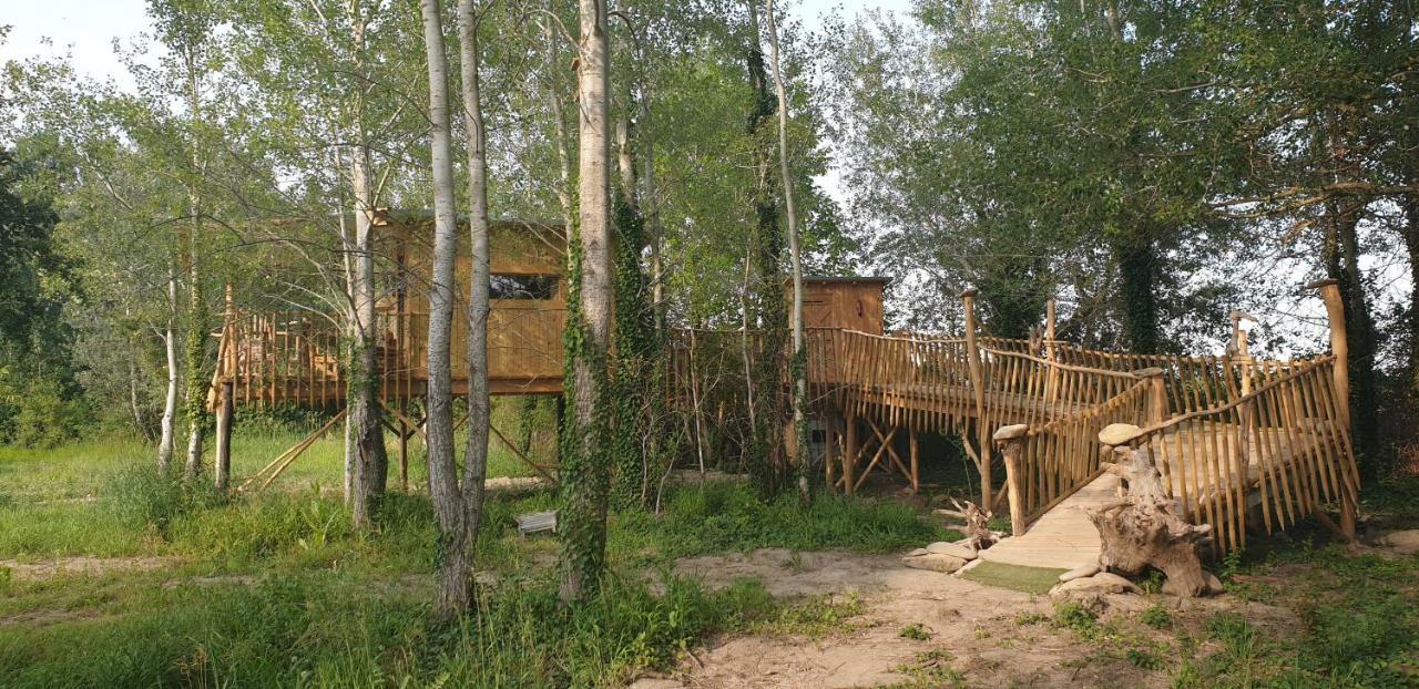 La Cabane Perchee Villelaure ภายนอก รูปภาพ